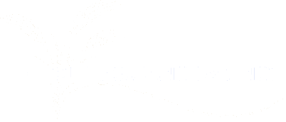 Circle Insurance Agency